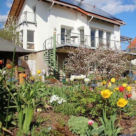 Ferienwohnung Dr. Vera Schmidt Kreischa Exterior foto