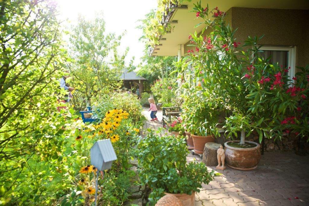 Ferienwohnung Dr. Vera Schmidt Kreischa Exterior foto