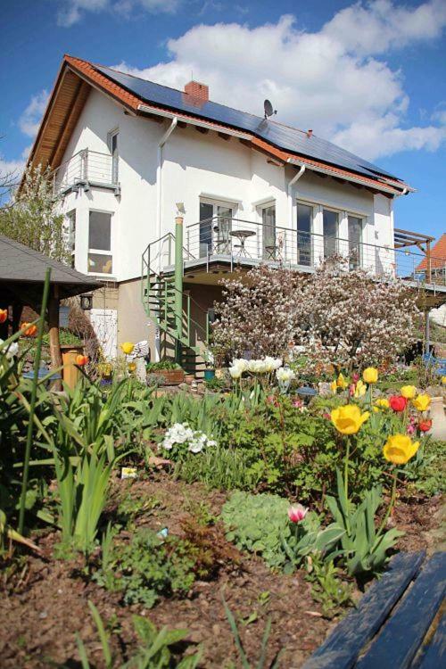 Ferienwohnung Dr. Vera Schmidt Kreischa Exterior foto